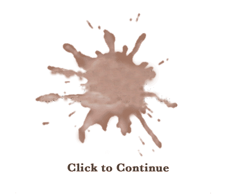 Rick Santorum for president